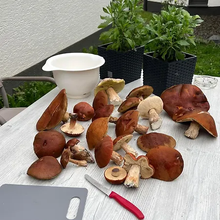Im Hambachtal Oberhambach